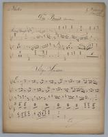 Ouverture : Die Braüt - Parts: Flute 1 and 2