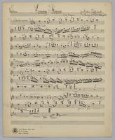 Evening Reverie : in D Major - Violin