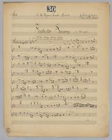 Fantastic Swansong - Parts: Flute