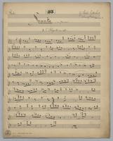 Sonata : [no.] 25 - Parts: Flute