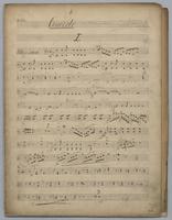 1stes Concerto - Parts: Viola