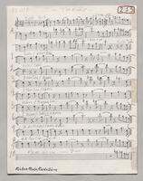 213 Theme Flute