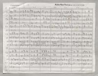 319 Spots Manuscript score