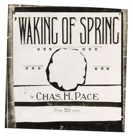 cover mockup for Waking of Spring